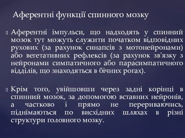 Аферентні функції спинного мозку Аферентні імпульси, що надходять у спинний