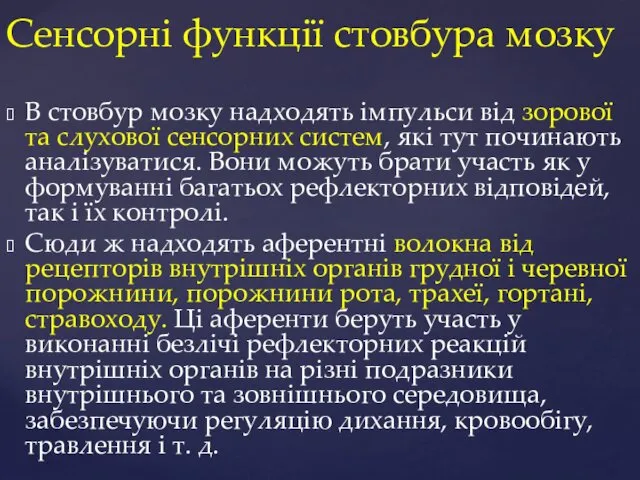 Сенсорні функції стовбура мозку В стовбур мозку надходять імпульси від