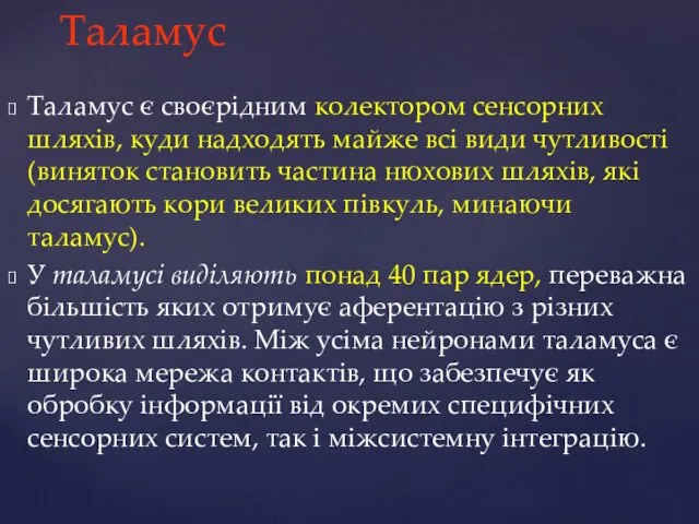 Таламус Таламус є своєрідним колектором сенсорних шляхів, куди надходять майже