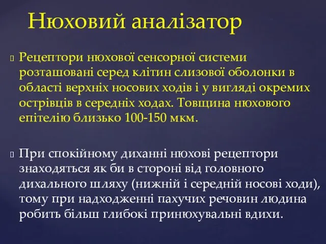 Нюховий аналізатор Рецептори нюхової сенсорної системи розташовані серед клітин слизової