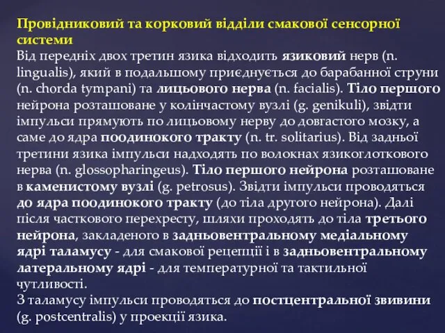 Провідниковий та корковий відділи смакової сенсорної системи Від передніх двох