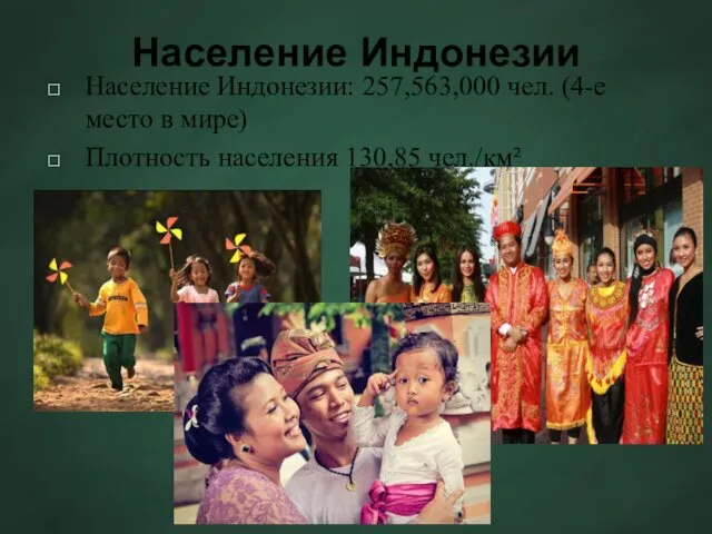 Население Индонезии Население Индонезии: 257,563,000 чел. (4-е место в мире) Плотность населения 130,85 чел./км²