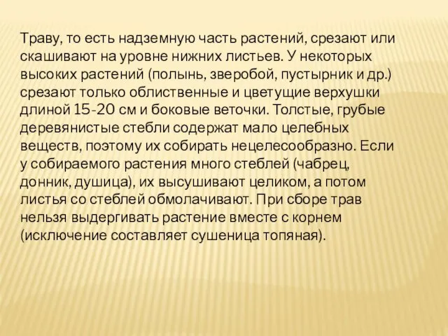 Траву, то есть надземную часть растений, срезают или скашивают на уровне нижних листьев.