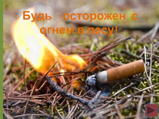 Будь осторожен с огнем в лесу!