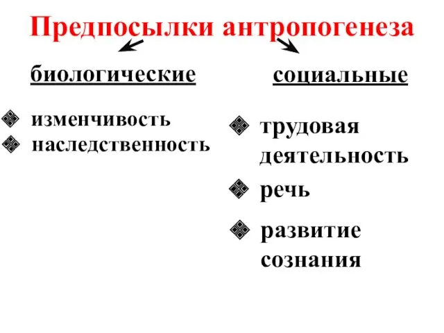 Предпосылки антропогенеза биологические социальные изменчивость наследственность трудовая деятельность развитие сознания речь