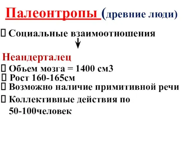 Палеонтропы (древние люди) Социальные взаимоотношения Неандерталец Объем мозга = 1400