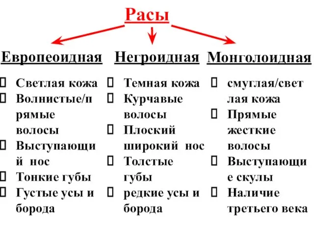 Расы Монголоидная Европеоидная Негроидная Светлая кожа Волнистые/прямые волосы Выступающий нос