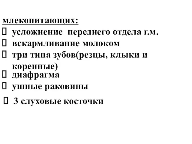 млекопитающих: усложнение переднего отдела г.м. вскармливание молоком три типа зубов(резцы,