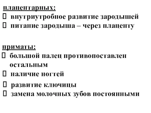 плацентарных: внутриутробное развитие зародышей питание зародыша – через плаценту приматы: