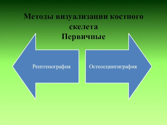 Методы визуализации костного скелета Первичные