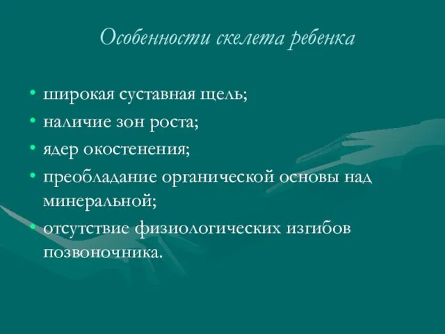 Особенности скелета ребенка широкая суставная щель; наличие зон роста; ядер