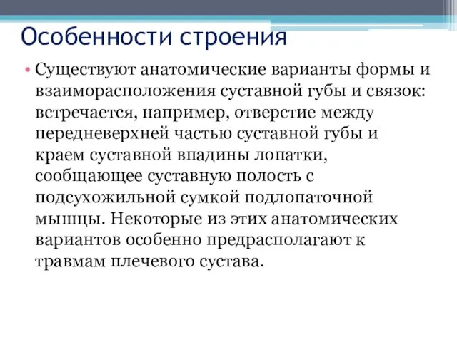 Особенности строения Существуют анатомические варианты формы и взаиморасположения суставной губы