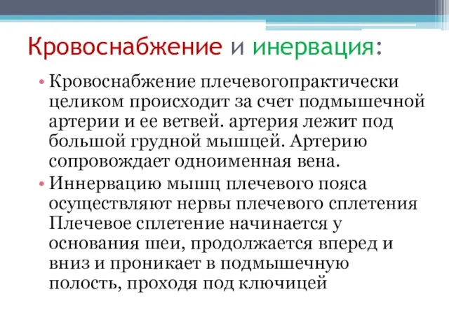 Кровоснабжение и инервация: Кровоснабжение плечевогопрактически целиком происходит за счет подмышечной