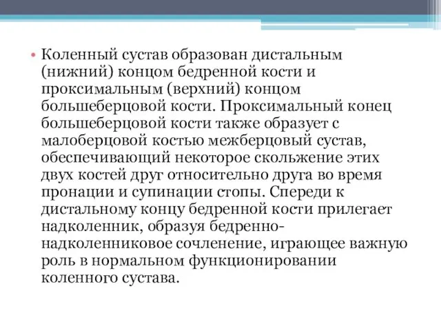 Коленный сустав образован дистальным (нижний) концом бедренной кости и проксимальным