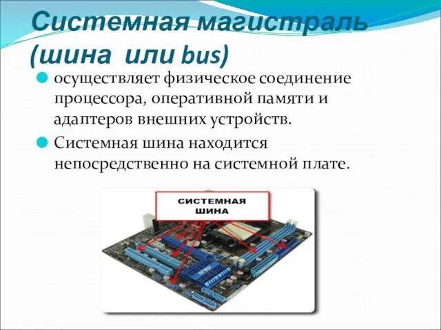 Системная магистраль (шина или bus) осуществляет физическое соединение процессора, оперативной