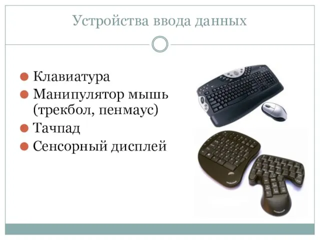 Устройства ввода данных Клавиатура Манипулятор мышь (трекбол, пенмаус) Тачпад Сенсорный дисплей