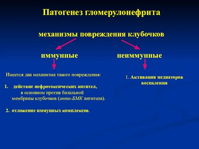 Патогенез гломерулонефрита механизмы повреждения клубочков иммунные неиммунные Имеется два механизма