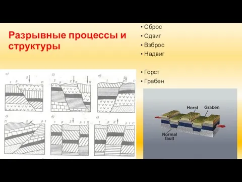 Разрывные процессы и структуры Сброс Сдвиг Взброс Надвиг Горст Грабен