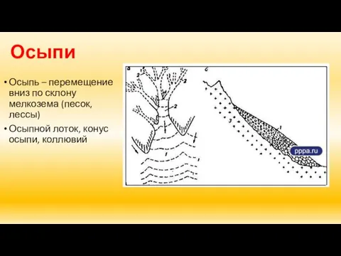 Осыпи Осыпь – перемещение вниз по склону мелкозема (песок, лессы) Осыпной лоток, конус осыпи, коллювий