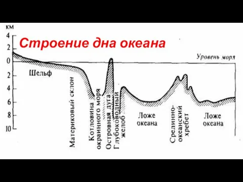 Строение дна океана