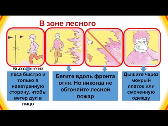 В зоне лесного пожара Выходите из леса быстро и только в наветренную сторону,