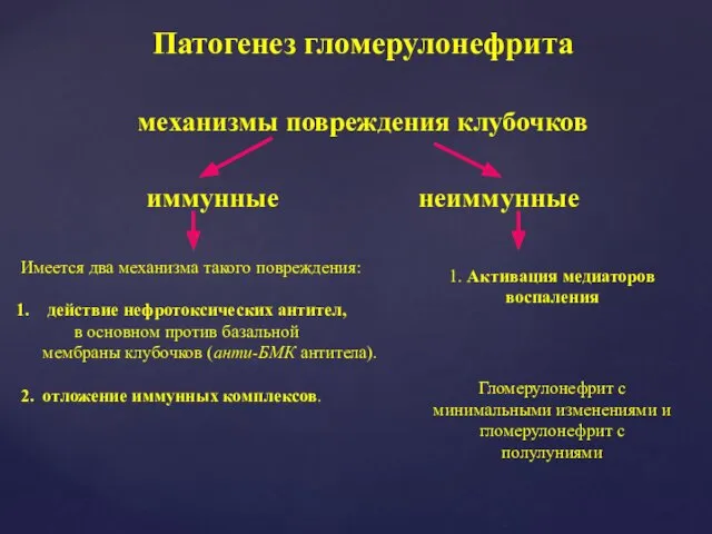 Патогенез гломерулонефрита механизмы повреждения клубочков иммунные неиммунные Имеется два механизма