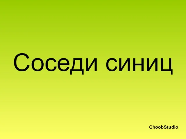 Соседи синиц ChoobStudio