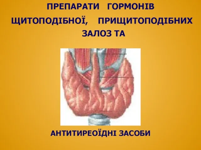 ПРЕПАРАТИ ГОРМОНІВ ЩИТОПОДІБНОЇ, ПРИЩИТОПОДІБНИХ ЗАЛОЗ ТА АНТИТИРЕОЇДНІ ЗАСОБИ