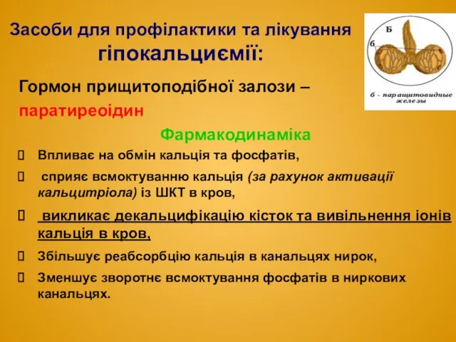 Гормон прищитоподібної залози – паратиреоідин Фармакодинаміка Впливає на обмін кальція