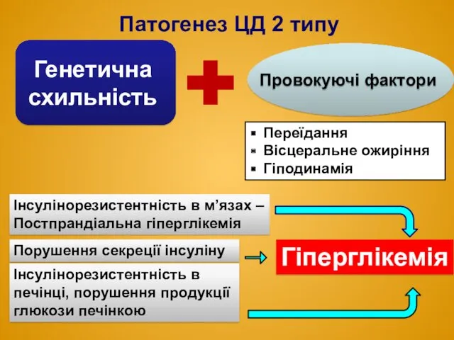 Патогенез ЦД 2 типу Переїдання Вісцеральне ожиріння Гіподинамія Інсулінорезистентність в