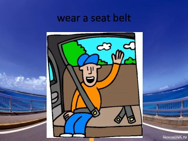 wear a seat belt