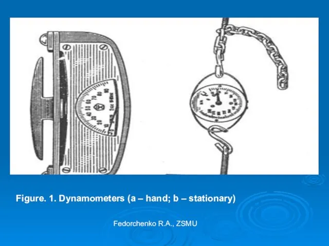 Figure. 1. Dynamometers (a – hand; b – stationary) Fedorchenko R.A., ZSMU
