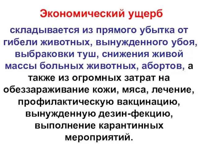 Экономический ущерб складывается из прямого убытка от гибели животных, вынужденного убоя, выбраковки туш,