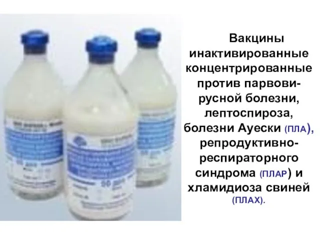 Вакцины инактивированные концентрированные против парвови-русной болезни, лептоспироза, болезни Ауески (ПЛА), репродуктивно-респираторного синдрома (ПЛАР)