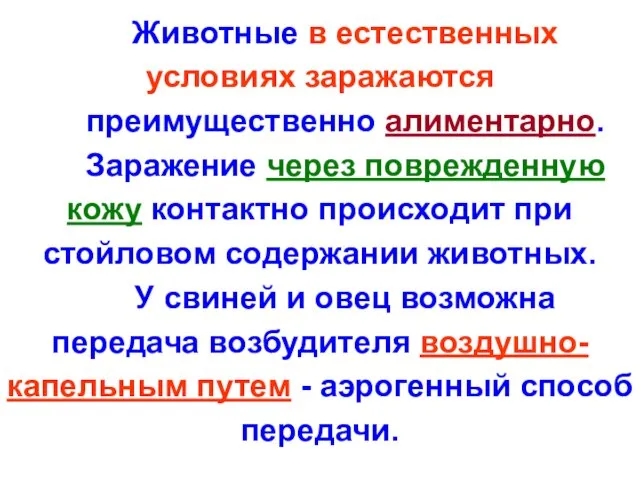 Животные в естественных условиях заражаются преимущественно алиментарно. Заражение через поврежденную кожу контактно происходит