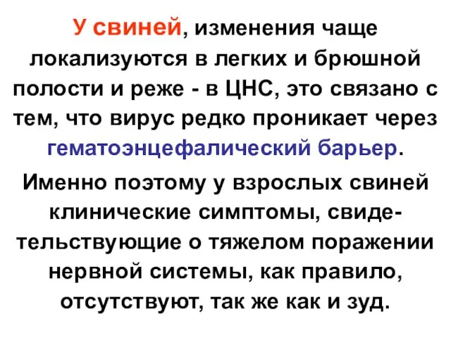 У свиней, изменения чаще локализуются в легких и брюшной полости и реже -