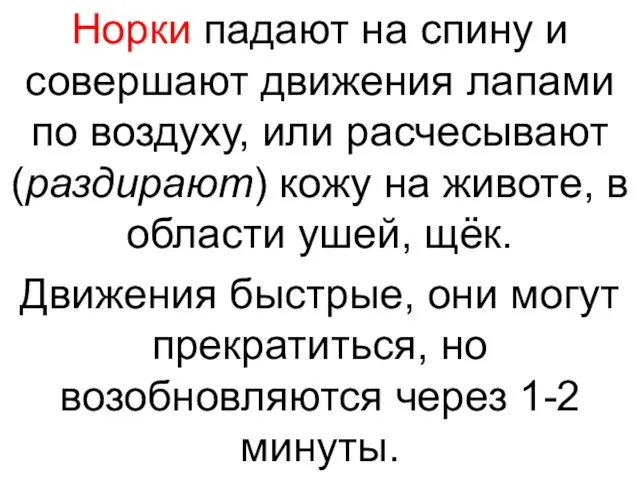 Норки падают на спину и совершают движения лапами по воздуху, или расчесывают (раздирают)