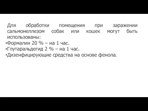 Для обработки помещения при заражении сальмонеллезом собак или кошек могут