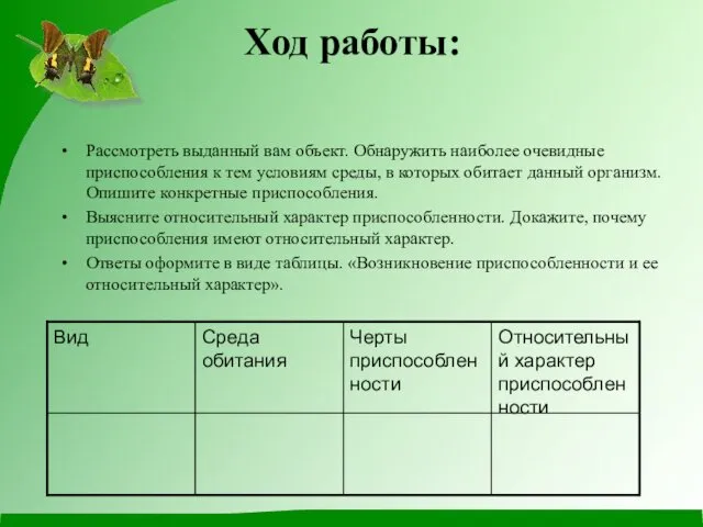 Ход работы: Рассмотреть выданный вам объект. Обнаружить наиболее очевидные приспособления