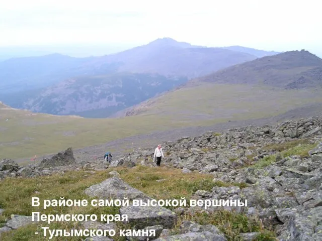 В районе самой высокой вершины Пермского края - Тулымского камня создан Вишерский заповедник