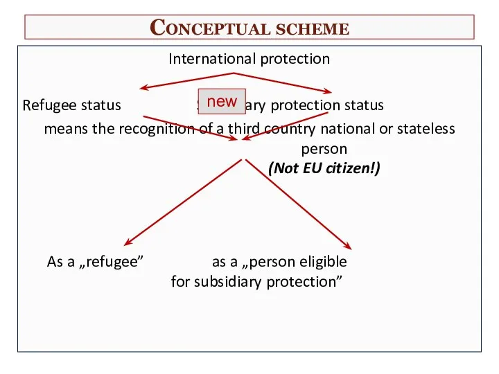 Conceptual scheme International protection Refugee status Subsidiary protection status means