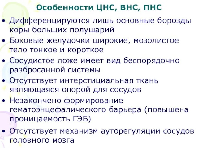 Особенности ЦНС, ВНС, ПНС Дифференцируются лишь основные борозды коры больших