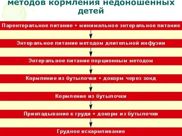 Последовательность использования методов кормления недоношенных детей