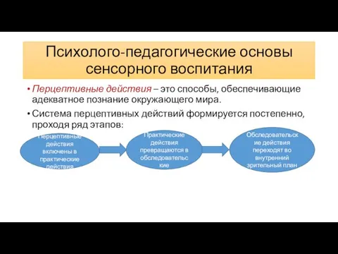 Психолого-педагогические основы сенсорного воспитания Перцептивные действия – это способы, обеспечивающие