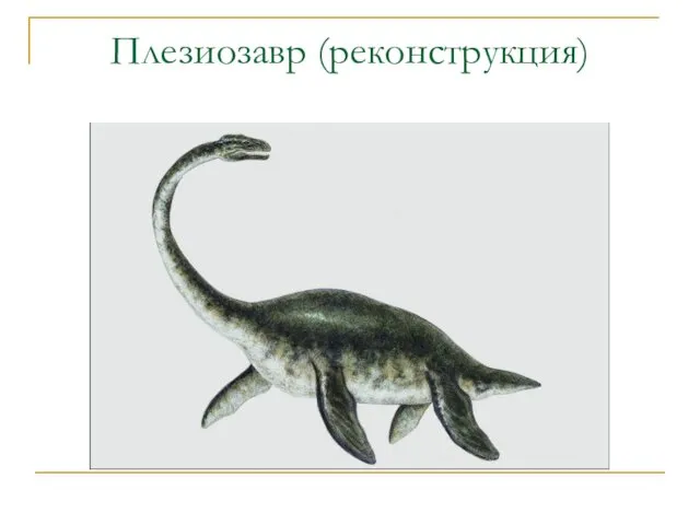 Плезиозавр (реконструкция)