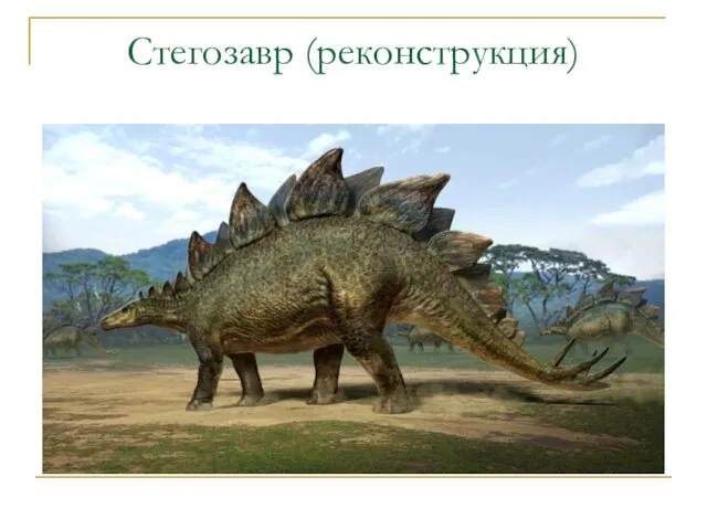 Стегозавр (реконструкция)