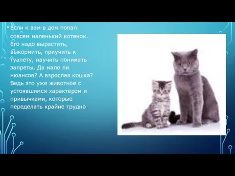 Если к вам в дом попал совсем маленький котенок. Его надо вырастить, выкормить,