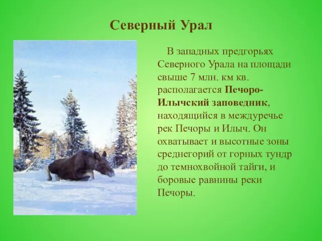 Северный Урал В западных предгорьях Северного Урала на площади свыше