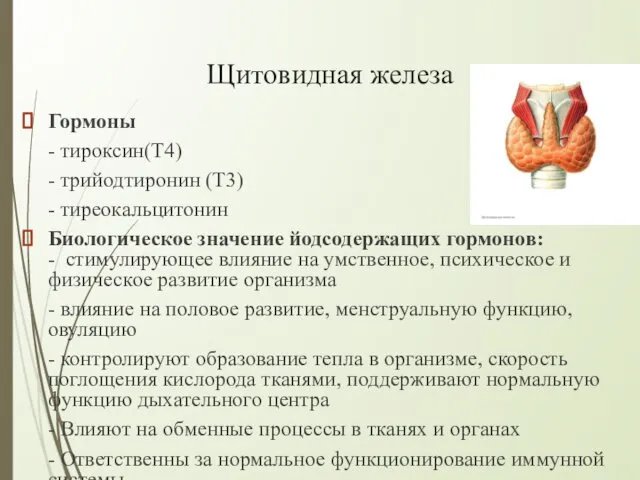 Щитовидная железа Гормоны - тироксин(T4) - трийодтиронин (T3) - тиреокальцитонин