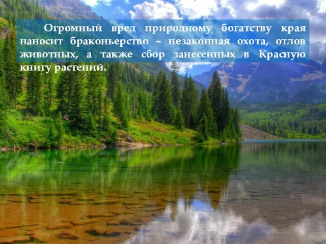 Огромный вред природному богатству края наносит браконьерство – незаконная охота, отлов животных, а